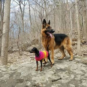 Meet your Posher, Jen